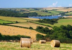 kingsbridge_estuary_710x500-710x500